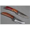 Image 1 : (2) Custom Fixed Blade Damascus Steel Knife