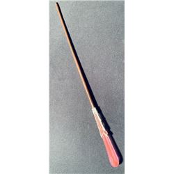 Fantastic Beasts and Where to Find Them (2016) - Seraphina Picquery (Carmen Ejogo) Wand