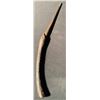 Image 2 : Harry Potter Franchise - Bellatrix Lestrange (Helena Bonham Carter) Wand