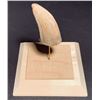 Image 2 : Jurassic Park (1993) - Dinosaur Tooth Display