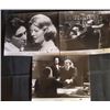 Image 1 : The Godfather (1972) - Set of 7 Publicity Stills 8X10 - Al Pacino - Marlon Brando