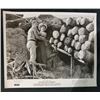 Image 2 : "Swiss Family Robinson" 1960 8X10 Prod. Stills December 10th, 1960 Starring: James MacArthur, Dorthy