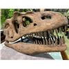 Image 2 : LIFE SIZE YANGCHUAMOSAURUS SKULL IN TRANSPORT DISPLAY CASE