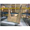Image 2 : LIFE SIZE JUVENILE TRICERATOPS HORNS IN GLASS COVERED TRANSPORT DISPLAY CASE