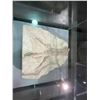 Image 2 : YANDUSAURUS HINDFOOT ROCK IN GLASS COVERED TRANSPORT DISPLAY CASE