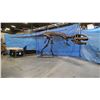 Image 2 : GIGANOTOSAURUS FULL SKELETON ON STEEL FRAME, FOUND IN ARGENTINIA FROM THE LATE CRETACEOUS PERIOD,