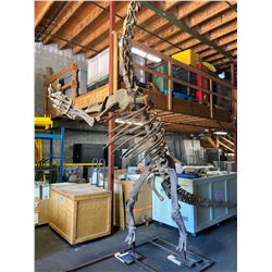 JUVENILE MAMENCHISAURUS FULL SKELETON ON STEEL FRAME, FOUND IN CHINA FROM THE LATE JURASSIC PERIOD,