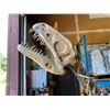 Image 2 : GASOSAURUS FULL SKELETON ON STEEL FRAME, THEROPOD FOUND IN CHINA FROM THE MIDDLE