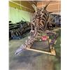 Image 1 : TUOJIANGOSAURUS FULL SKELETON ON STEEL / WOOD FRAME, STEGOSAURID FOUND IN CHINA FROM THE  JURASSIC