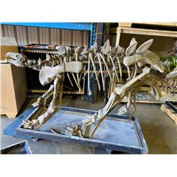 HUAYANGOSAURUS FULL SKELETON ON STEEL FRAME WOOD TRAY, STEGOSAURID FOUND IN CHINA FROM THE