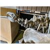 Image 2 : HUAYANGOSAURUS FULL SKELETON ON STEEL FRAME WOOD TRAY, STEGOSAURID FOUND IN CHINA FROM THE