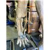 Image 2 : MAMENCHISAURUS FORELIMB BONES ON STEEL FRAME WITH WOODEN COVER