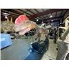 Image 3 : ANIMATRONIC DILOPHOSAURUS EARLY JURASSIC PERIOD DINOSAUR