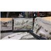 Image 8 : 29' X 25' FIBERGLASS EXCAVATION DIG SITE 17 PCS SECTION C/W 8 CUSTOM MOBILE TRANSPORT FRAMES ,