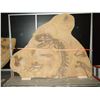 Image 1 : 14' X 18' FIBERGLASS EXCAVATION DIG SITE 2 PCS SECTION C/W CUSTOM MOBILE TRANSPORT FRAME