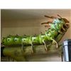 Image 2 : ANIMATRONIC HORNED DEVIL CATAPILLAR EXTREAME BUG IN TRANSPORT CRATE