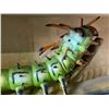 Image 2 : ANIMATRONIC HORNED DEVIL CATAPILLAR EXTREAME BUG IN TRANSPORT CRATE