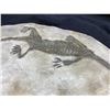 Image 3 : HYPHALOSAURUS SKELETON CAST DINOSAUR FOSSIL