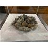 Image 2 : REAL FOSSILIZED DUNG IN GLASS COVERED TRANSPORT DISPLAY CASE