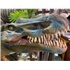 Image 2 : ANIMATRONIC IRRITATOR EARLY CRETACEOUS PERIOD DINOSAUR