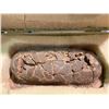 Image 1 : LIFE SIZE ELONGATOOLITHUS EGG IN TRANSPORT CASE