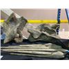 Image 2 : ASSORTED MAMENCHISAURUS NECK BONES FROM THE LATE JURASSIC PERIOD