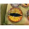 Image 2 : BOX OF DINOSAUR REPLACEMENT EYES