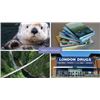 Image 1 : VANCOUVER FAMILY EXPERIENCES PACKAGE: 2x Vancouver Aquarium tickets, 4x Capilano Suspension Bridge