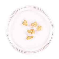 Lot of Australian Gold Nuggets 1.89 grams Total Weight