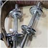 Image 2 : DUMBELLS AND WEIGHT BELT