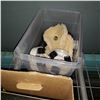 Image 4 : JUG OF PAINT AND VARNISH REMOVER MAGNETIC CAT DOOR