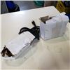 Image 1 : 2 ELECTRIC FOUNTAIN PUMPS