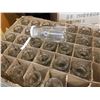 Image 2 : 105 GLASS 200ML BOTTLES WITH LIDS