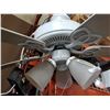 Image 2 : TRIPLE HANGING LIGHT FAN