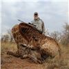 Image 2 : 7 Day Giraffe Hunt for 2 Hunters with Monkane Safaris includes 2 Giraffe, 1 each per hunter