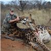 Image 3 : 7 Day Giraffe Hunt for 2 Hunters with Monkane Safaris includes 2 Giraffe, 1 each per hunter