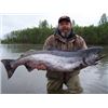 Image 2 : 6-day Alaskan Fishing Trip for One Angler at McDougall Lodge, Alaska