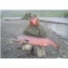Image 4 : 6-day Alaskan Fishing Trip for One Angler at McDougall Lodge, Alaska