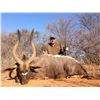 Image 5 : 7 Day South African Spiral Horn Hunt for two Hunters