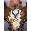 Image 3 : Custom Hand Painted Antelope Skull