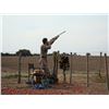 Image 13 : RED STAG, BLACK BUCK ANTELOPE AND DOVE HUNT IN ARGENTINA FOR TWO HUNTERS SIX DAY STAY