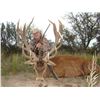 Image 6 : RED STAG, BLACK BUCK ANTELOPE AND DOVE HUNT IN ARGENTINA FOR TWO HUNTERS SIX DAY STAY