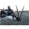 Image 8 : RED STAG, BLACK BUCK ANTELOPE AND DOVE HUNT IN ARGENTINA FOR TWO HUNTERS SIX DAY STAY