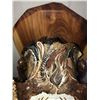 Image 11 : Custom Hand Painted Mule Deer Skull