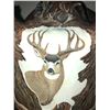 Image 14 : Custom Hand Painted Mule Deer Skull