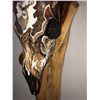 Image 6 : Custom Hand Painted Mule Deer Skull
