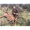 Image 1 : 3 Day Iberian Red Stag and European Wild Boar Hunt in Madrid Spain for One Hunter and One Guest