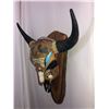 Image 3 : Custom Hand Painted Bison Skull