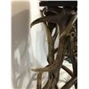 Image 11 : Custom Made Elk Antler Bar Stools