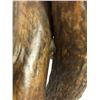 Image 18 : Custom Made Elk Antler Bar Stools